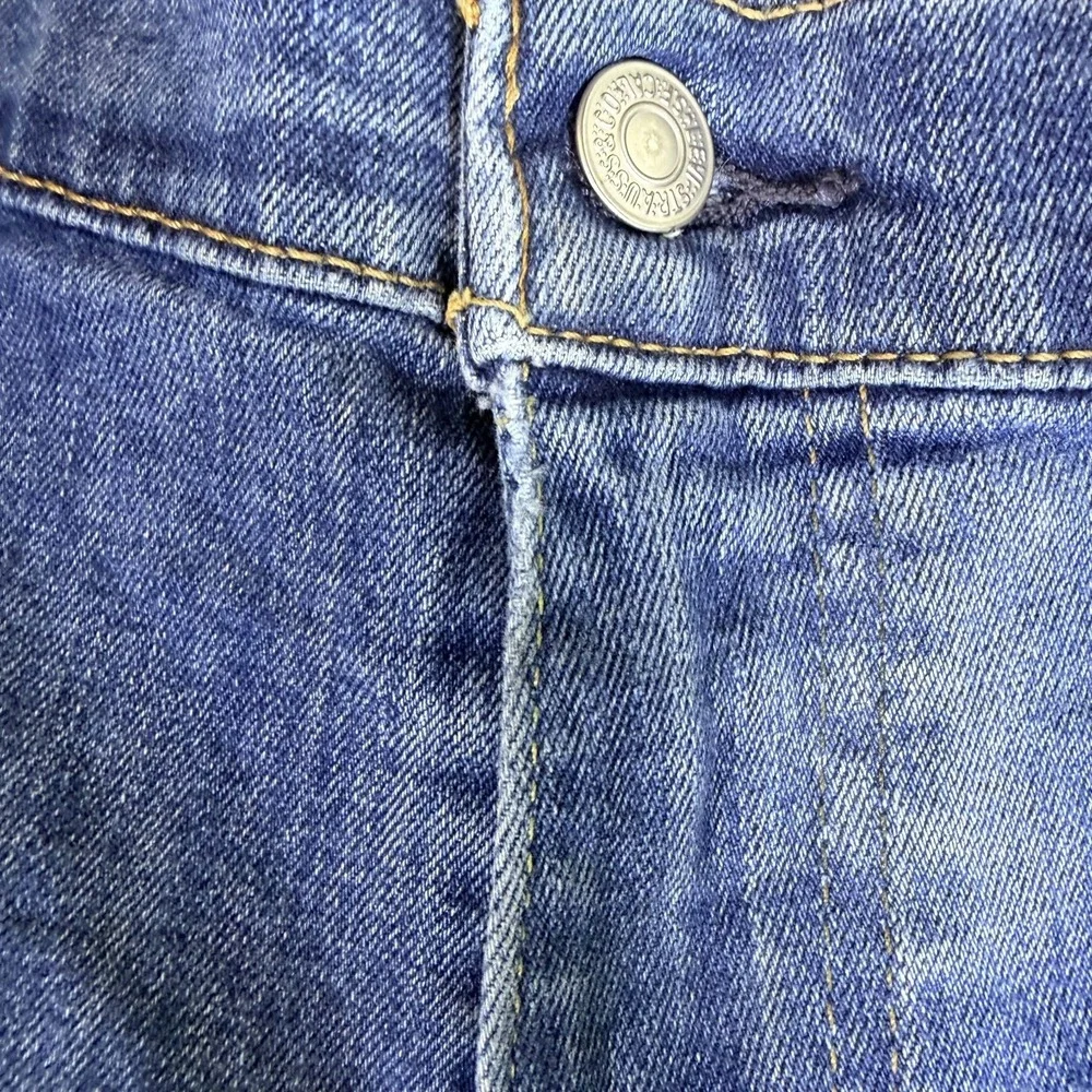 Levis levi 541